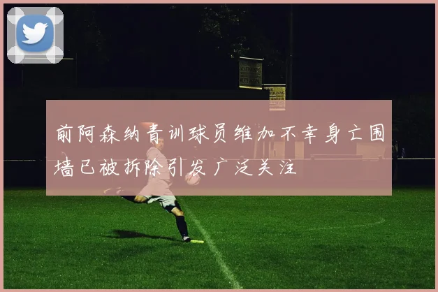 前阿森纳青训球员维加不幸身亡围墙已被拆除引发广泛关注